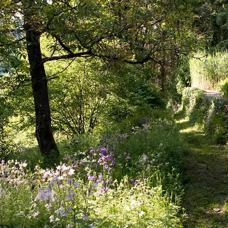 Nyaraló Waldhaus 'photographie' Im Ruwertal, Trier Morscheid (Trier-Saarburg)