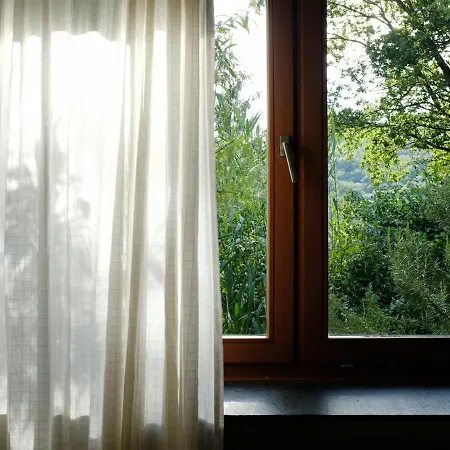 Waldhaus 'photographie' Im Ruwertal, Trier *
