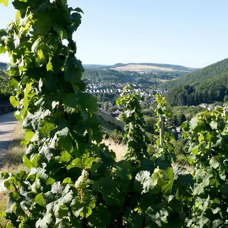 Nyaraló Waldhaus 'photographie' Im Ruwertal, Trier *
