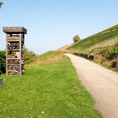 Waldhaus 'photographie' Im Ruwertal, Trier Holiday home *